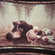 (Photo: Kickstarter/AGFA)